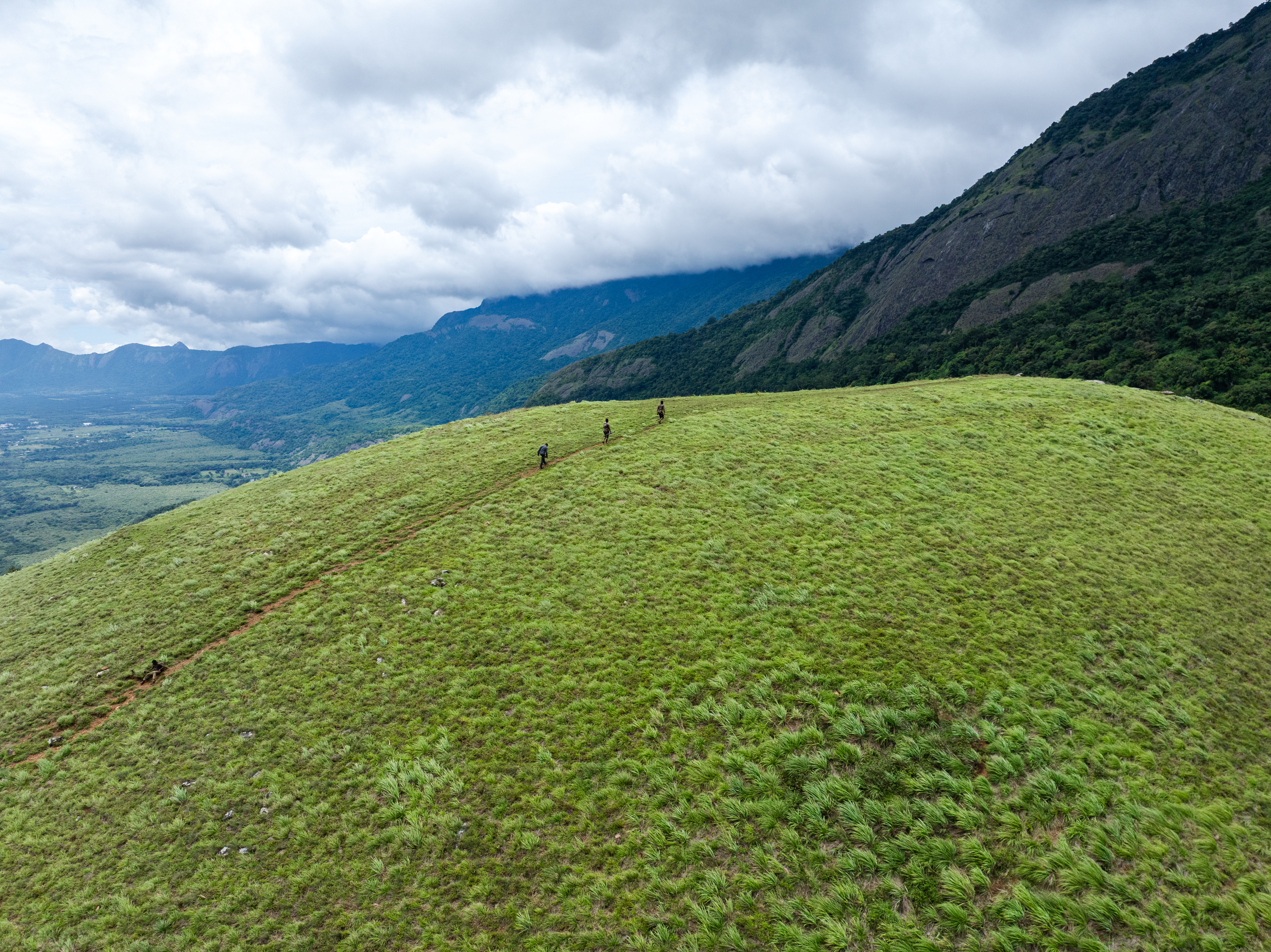 Explore the Nature