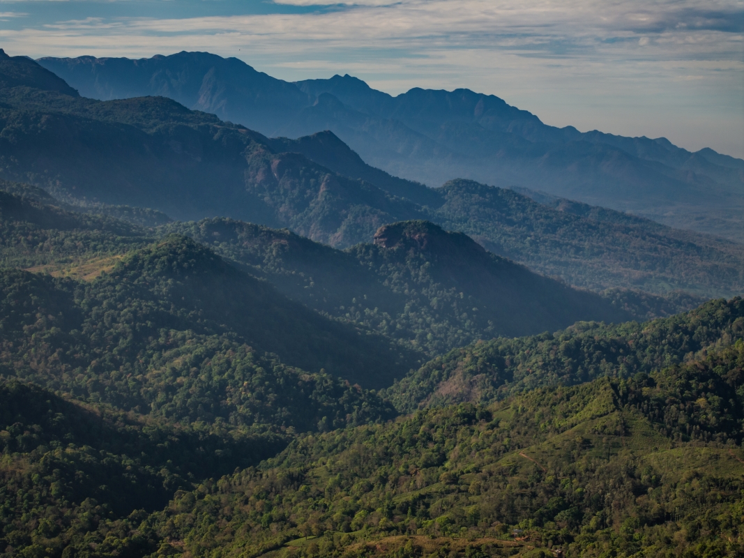 TNWEC – Explore the Wild